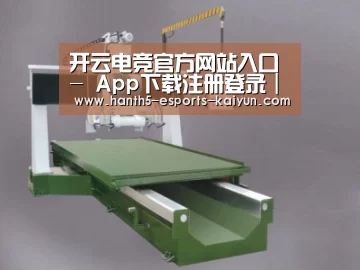 产品名称十