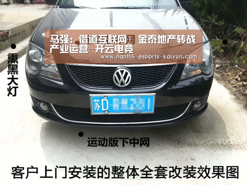 马强：借道互联网+ 金泰地产转战产业运营-开云电竞
