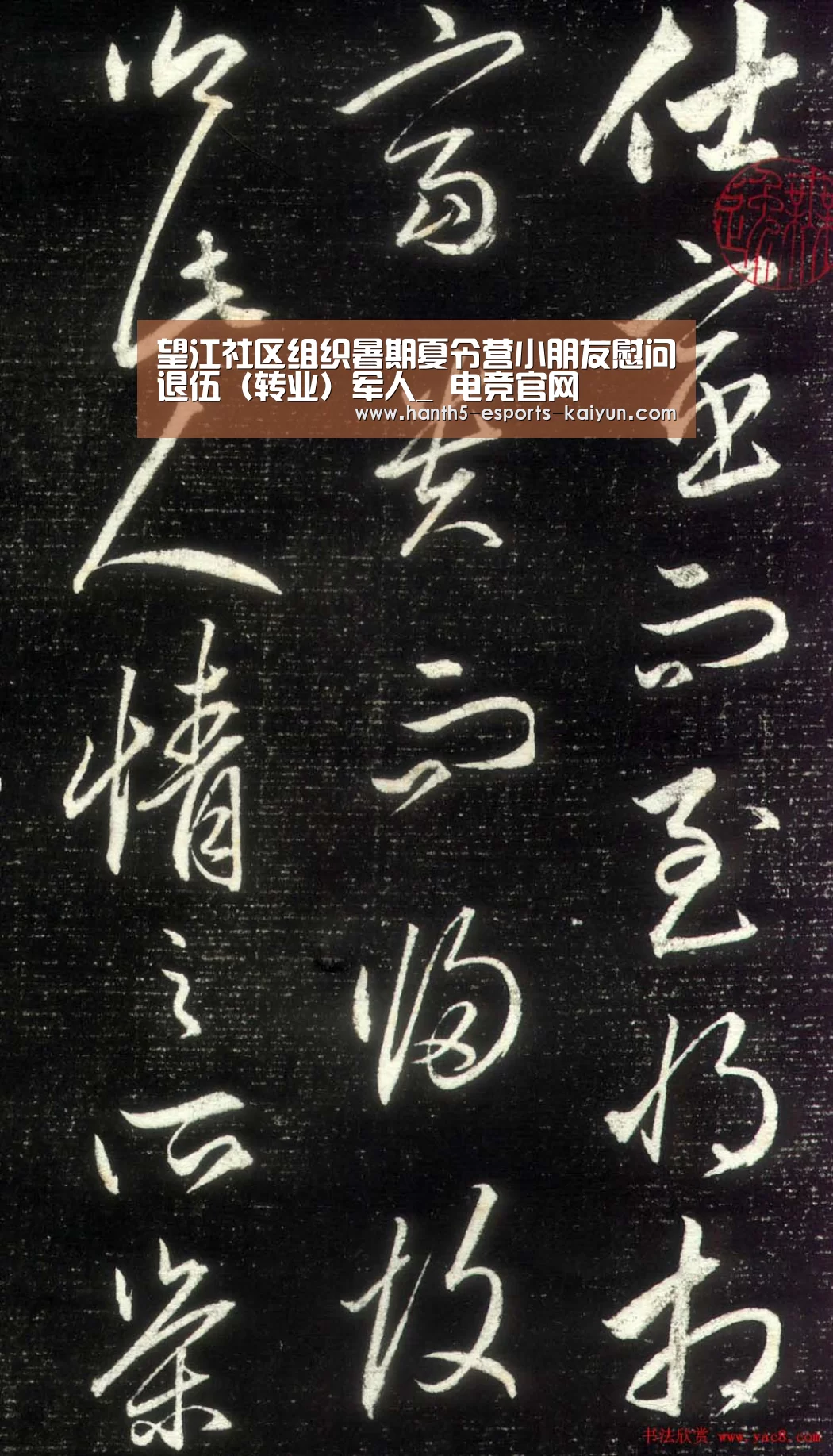 开云电竞