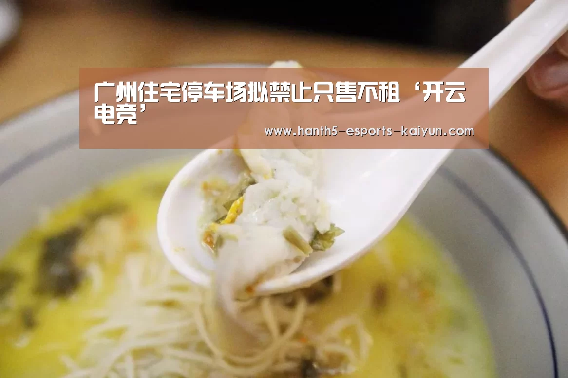广州住宅停车场拟禁止只售不租‘开云电竞’